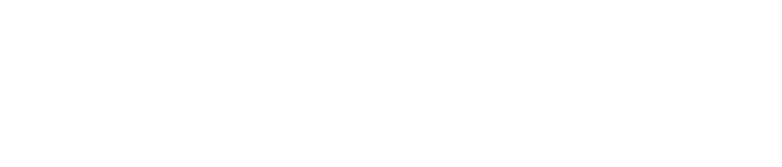 Dingwall Decorators Alternative White Logo
